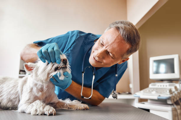 Best Emergency Dental Extractions in Carthage, IL