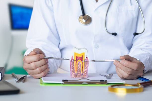 Best Emergency Dental Services for Seniors in Carthage, IL